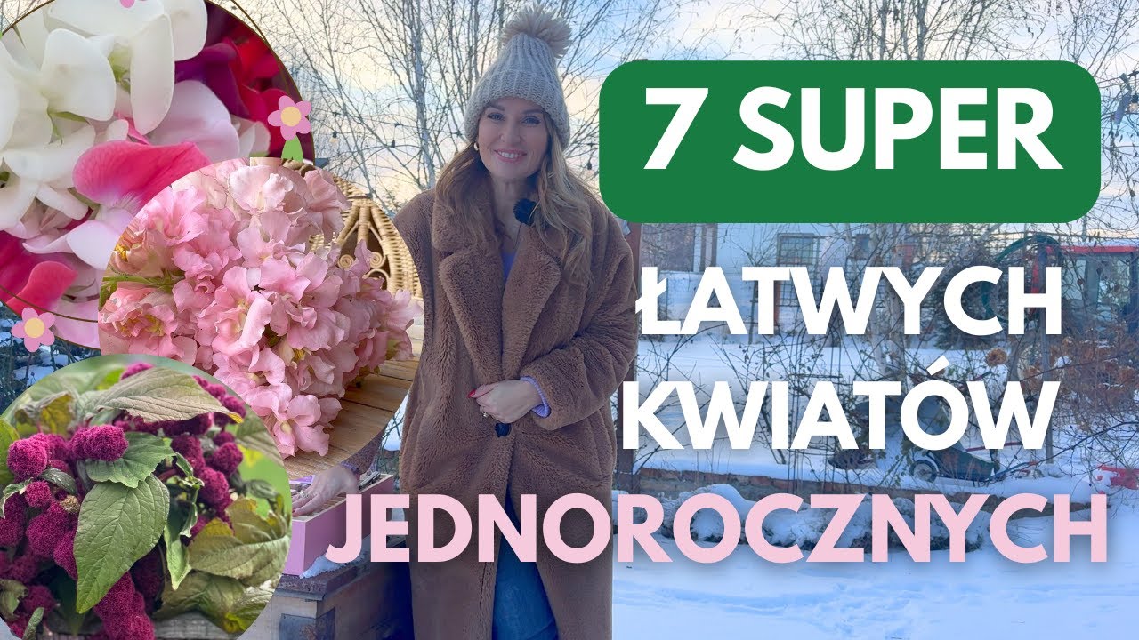 7 SUPER ODMIAN KWIATÓW JEDNOROCZNYCH, KTÓRE WYSIEJESZ SAMA