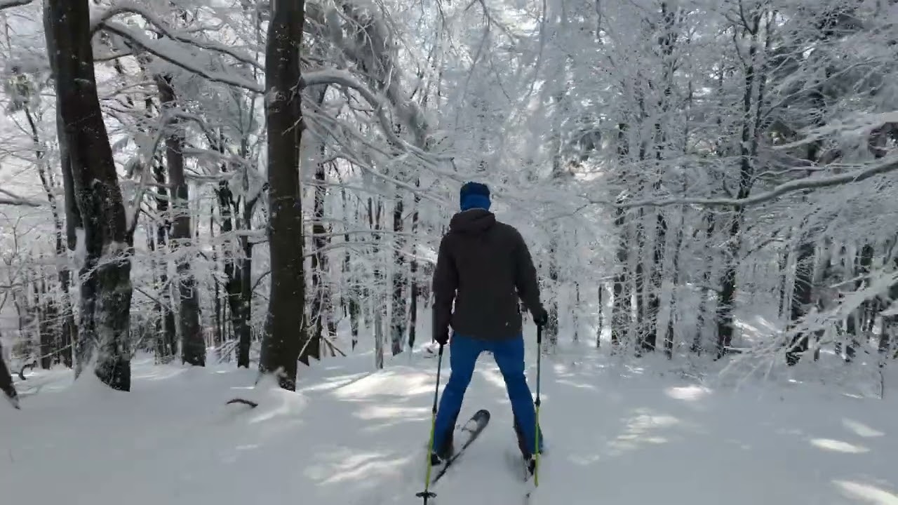 Skibce zjazd Pumki