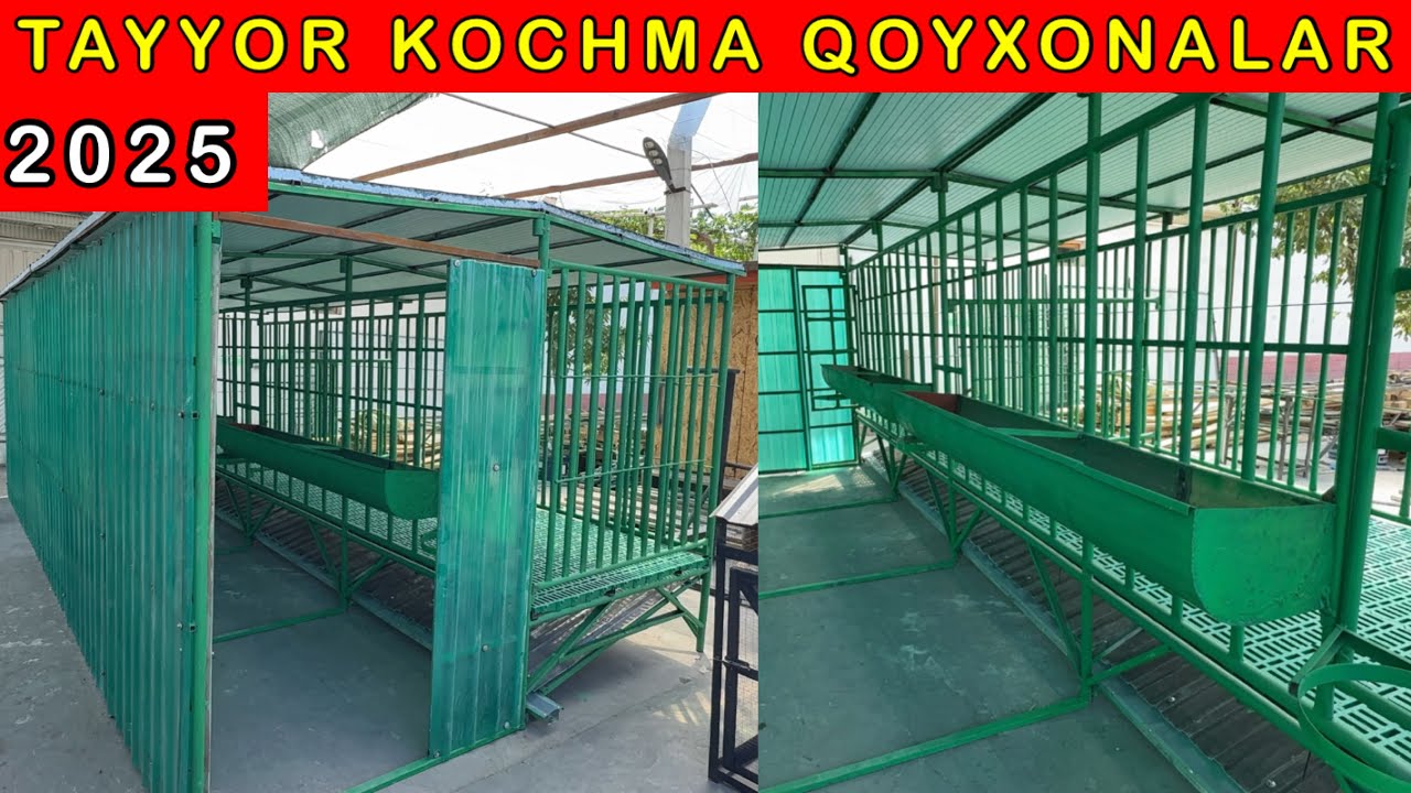 5⭐️ KOCHMA QOYXONALAR ENG ZORLARI VA ARZONLARI 2025