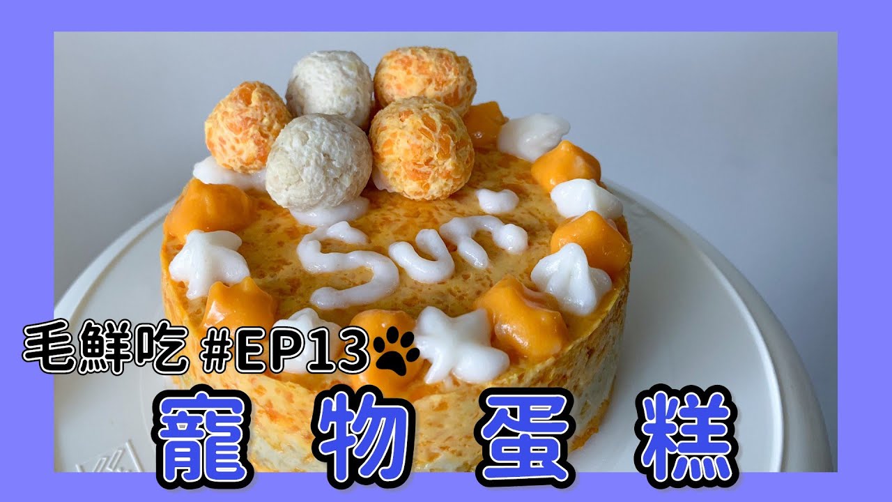寵物鮮食【毛鮮吃】EP13｜寵物蛋糕