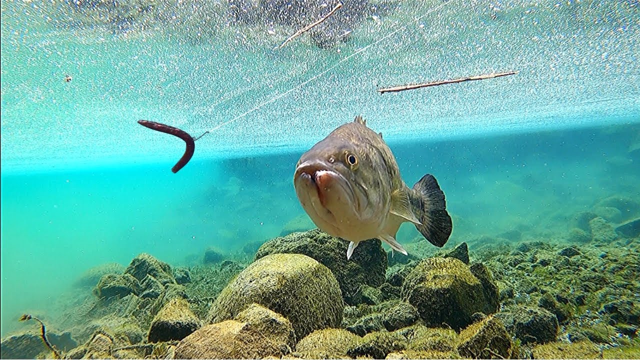 ОПУСКАЕМ КАМЕРУ GOPRO ПОД ВОДУ И РЫБАЧИМ ВОКРУГ НЕЙ!