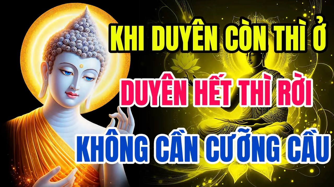 Khi Duyên Còn Thì Ở, Hết Duyên Thì Rời – Lời Phật Dạy Về Nghiệp Tình Ít Người Hiểu