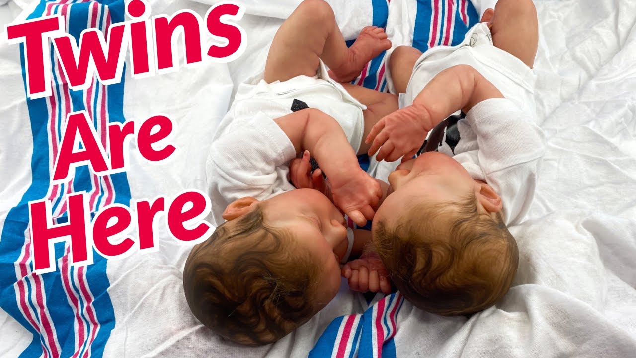 AMAZING Reborn Box Opening! Realistic Twins Baby Dolls Are Here
