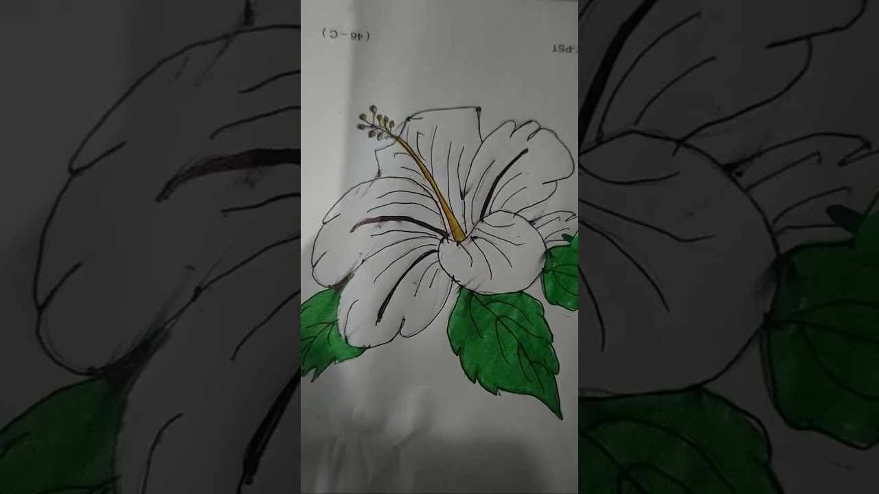 Easy flower drawing hibiscus 🌺🌺