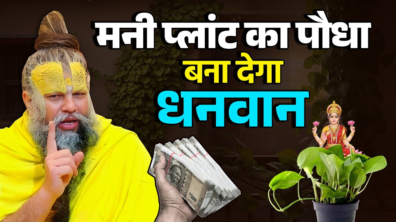 मनीप्लांट में घर का ऐसा पानी भूलकर भी मत डालना बना देगा धनवान #laxmi #premanandjimaharaj