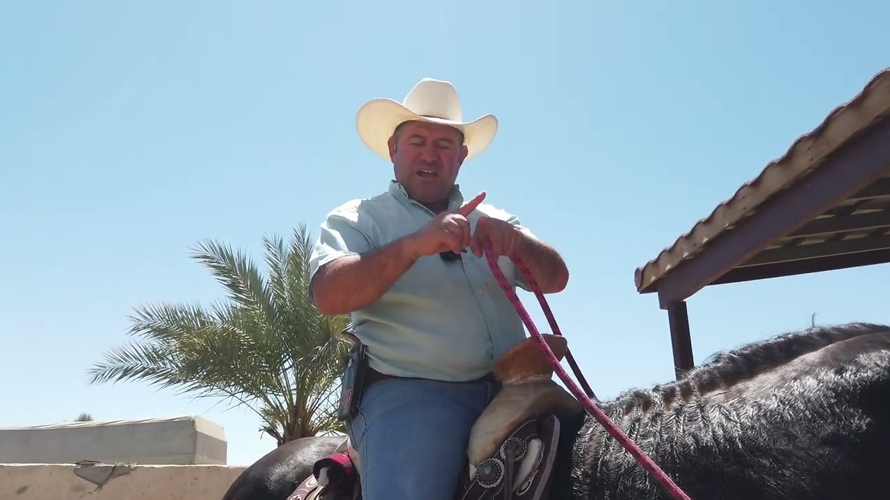 Mi Caballo NO Quiere Caminar Hacia Atrás!!