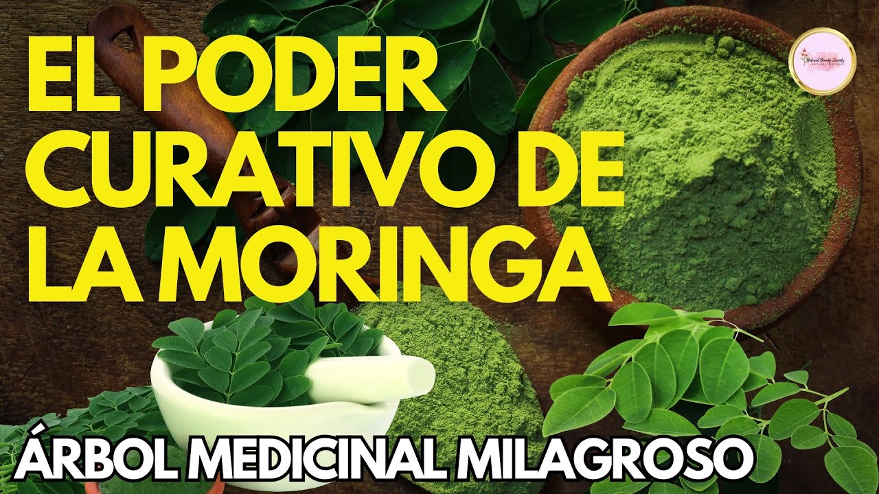 DOCUMENTAL El PODER CURATIVO y NUTRITIVO de la MORINGA El &Aacute;rbol Milagroso para tu Salud