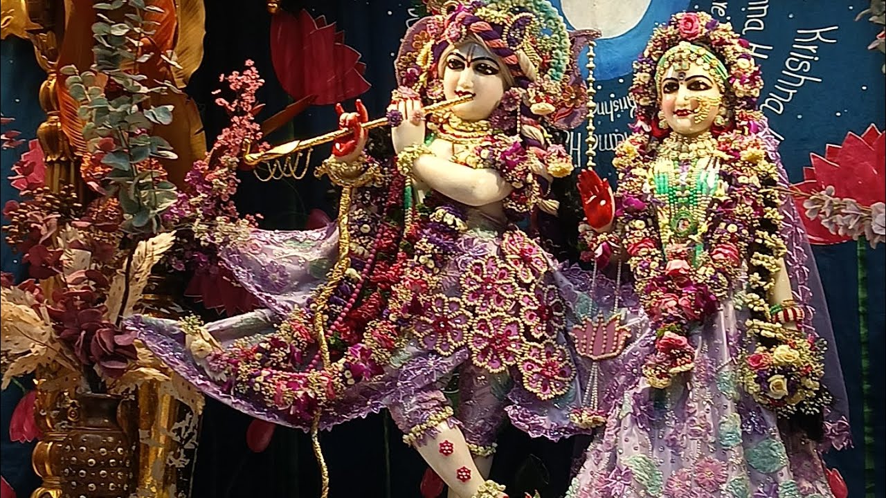 আজ একাদশী দিন আমরা সকলে মিলে বেরিয়ে পড়লাম রাধা কৃষ্ণের দর্শনের জন্য