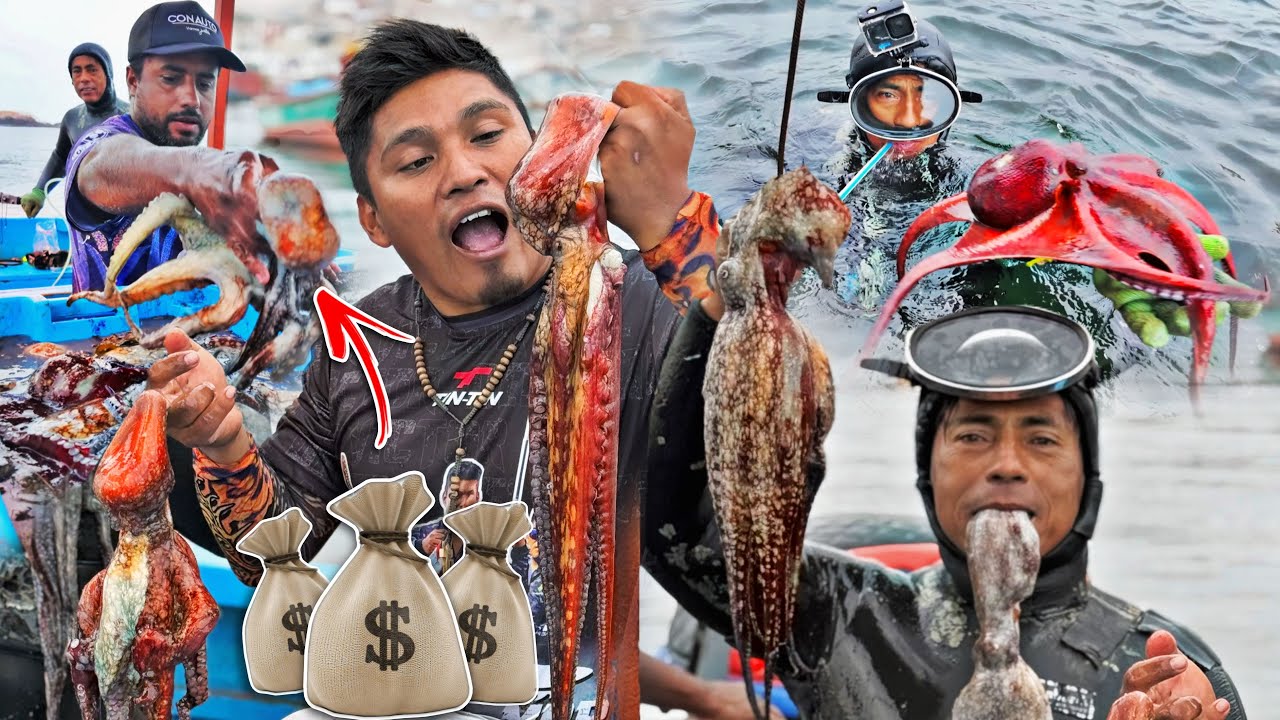 As&iacute; es el SACRIFICIO de un BUZO MARINO en el FONDO del OC&Eacute;ANO -  Extracci&oacute;n de PULPOS y MARISCOS