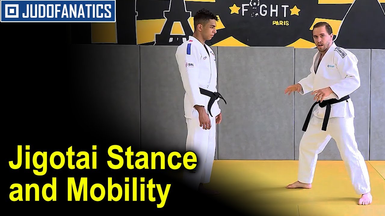 Jigotai Stance And Mobility by Loic Pietri
