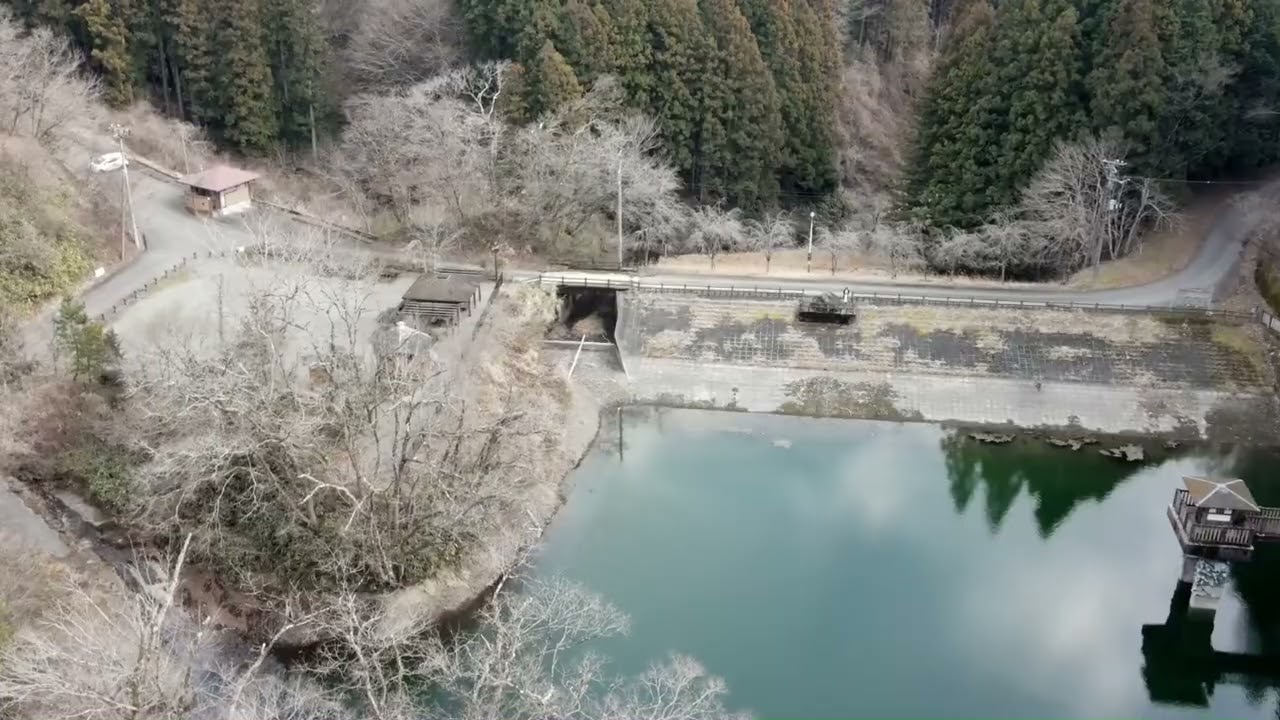 八重桐の池2