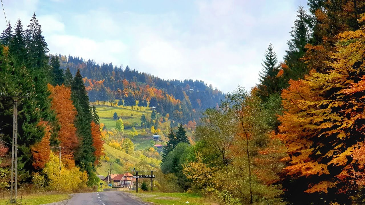 Moeciu De Sus,Transylvania