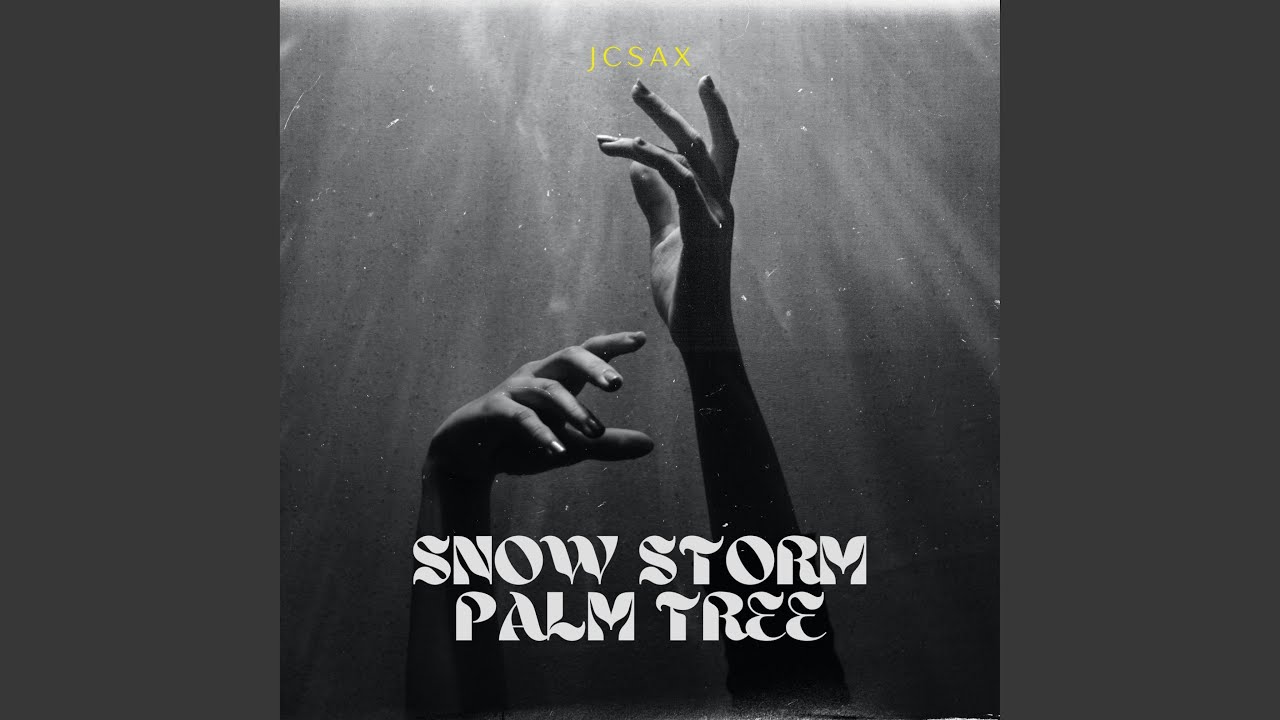 Snow Storm Palm Tree
