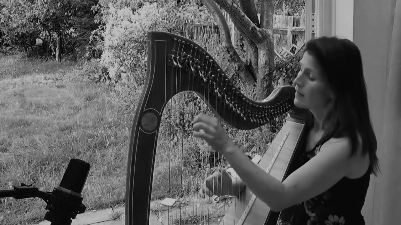 Bregar's Guitarp, a slow blues for harp (listed in Trinity grade 6 non-pedal syllabus)