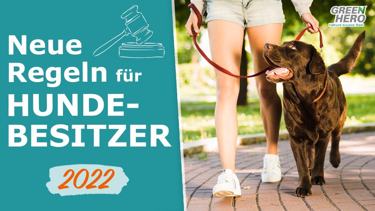 Neue Tierschutz - Hundeverordnung 2022 | Das m&uuml;ssen Hundebesitzer beachten!