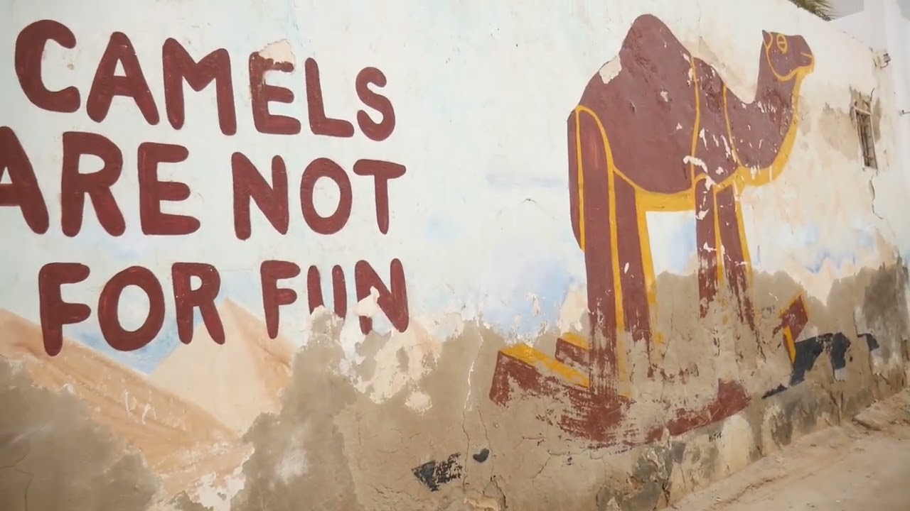 Vidéo :DJERBAHOOD (Street art)  & HOUMT SOUK    - Le 14 Février 2025