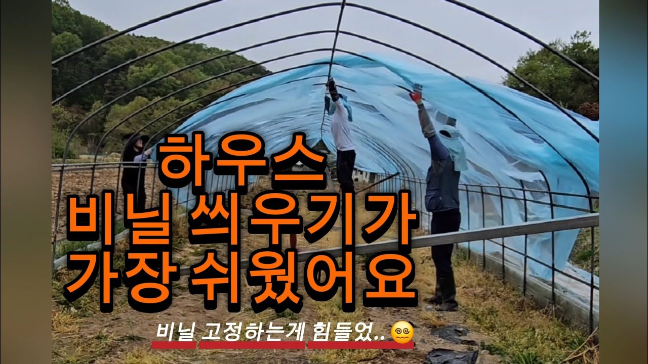 초보농사꾼 비닐하우스 설치하는 첫번째 이야기