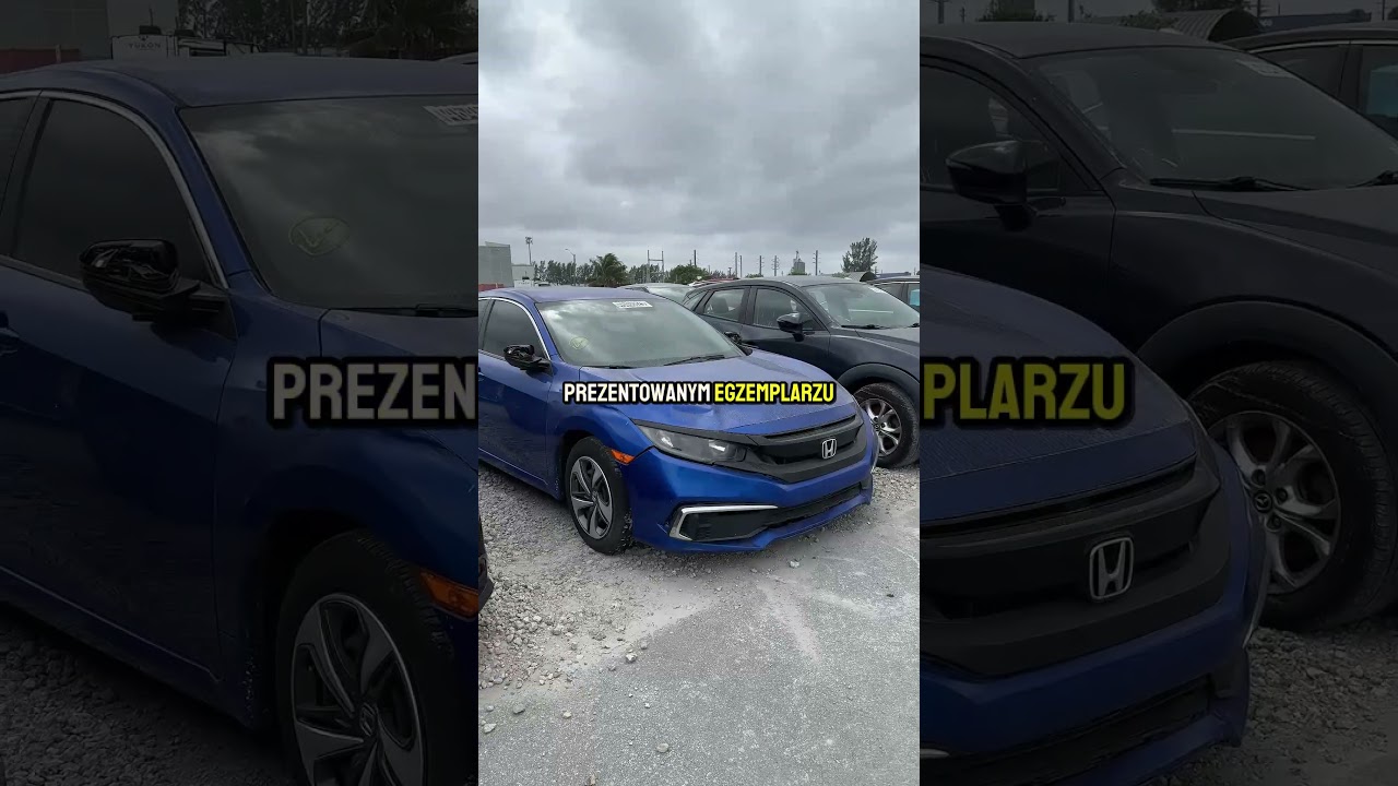 Honda Civic z USA - importujesz? 🚘🇺🇸 #honda #hondacivic #importzusa #copart