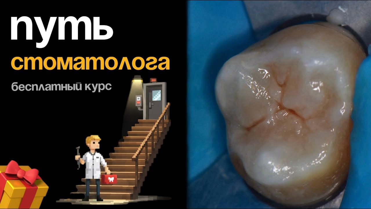 ПУТЬ СТОМАТОЛОГА С НУЛЯ . От анестезии до полировки - бесплатный курс 