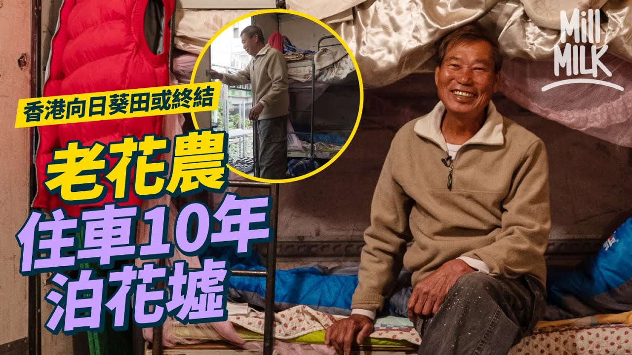 #MM｜信芯園老花農旺角瞓貨車10年 貨車上裝碌架床為補眠 元朗向日葵田待批牌照重開 本地花農僅存少數：花墟已經沒有本地花農的位置；姊妹檔幫手家族花店 花墟將重建｜#700萬種生活 #4K