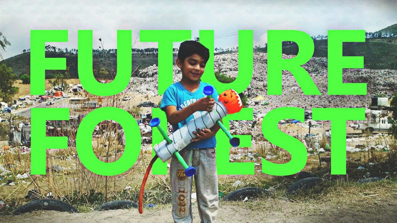 THE FUTURE FOREST