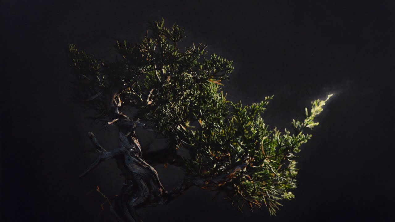 Bonsai Art as Paintings