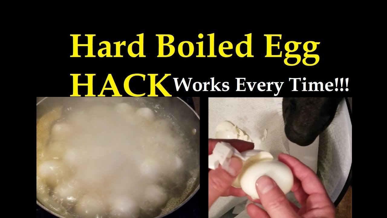 Hard Boiled Egg HACK - You Won't Believe It! Works Every Time!