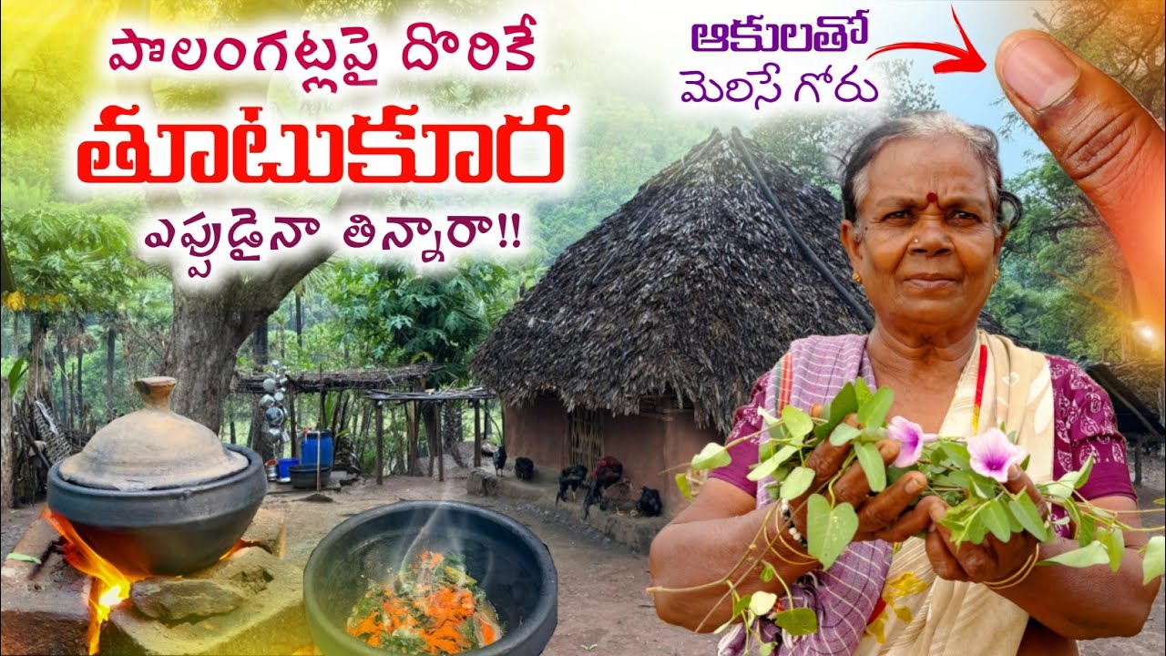 అమ్మ వండిన ఆకుకూర:పొలంగట్లపై దొరికే ఈ కూర ఎప్పుడైనా తిన్నారా? Nature Food of TRIBALS @TribalMirror 