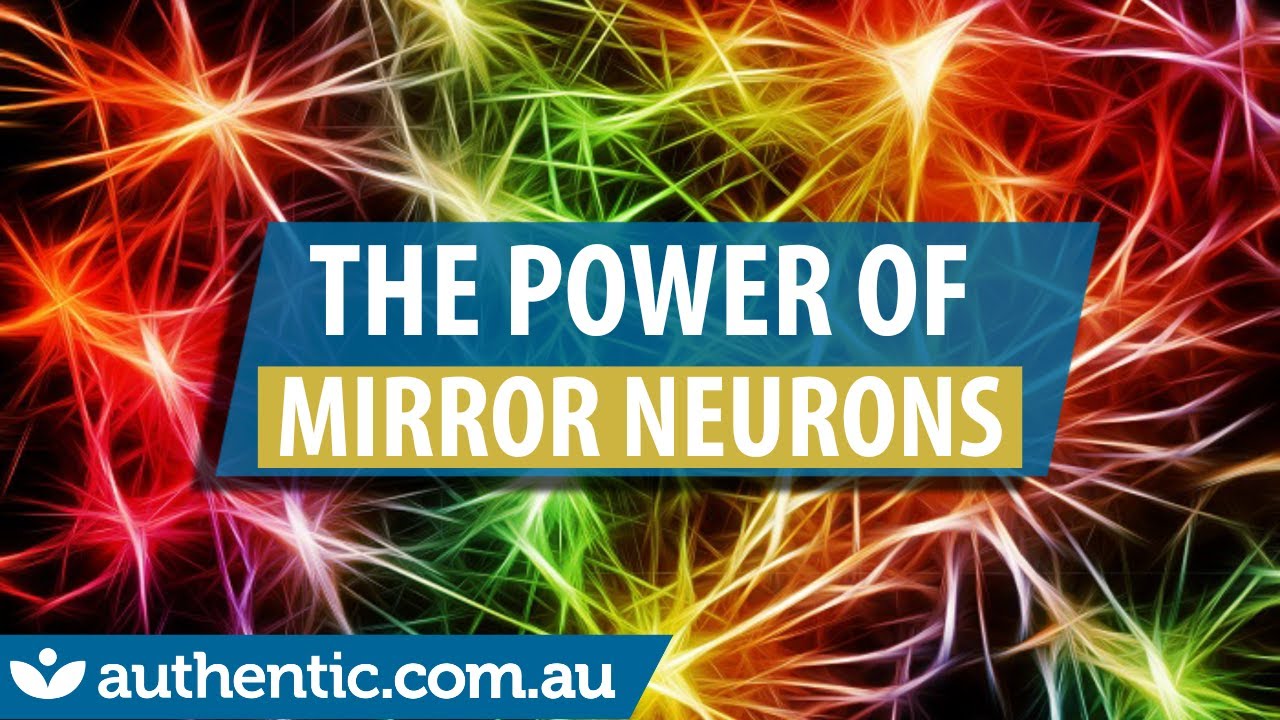 What Are Mirror Neurons? Discover their POWER!