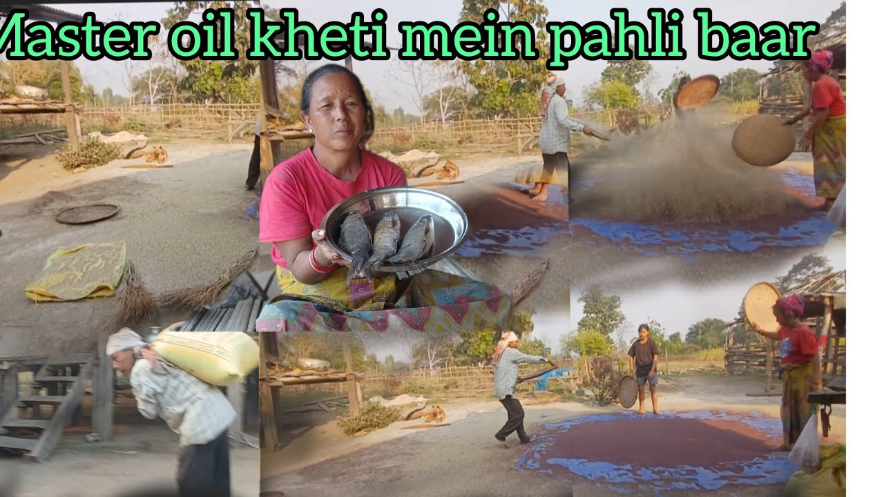 Family 👨‍👩‍👦‍👦 ka sath || milake काम kiya Hai || master oil ka kheti mein 
