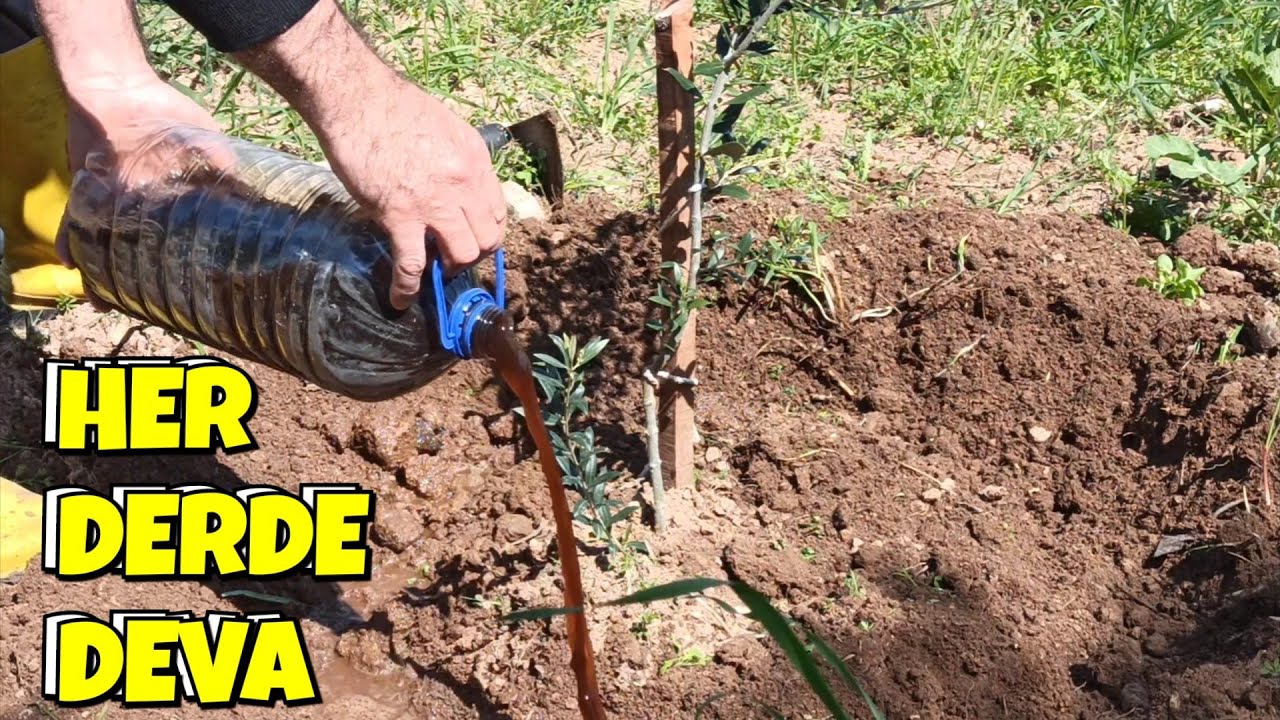 Çiftçiler, Seracılar, Hobiciler Bu Karışımı Mutlaka Uygulayın