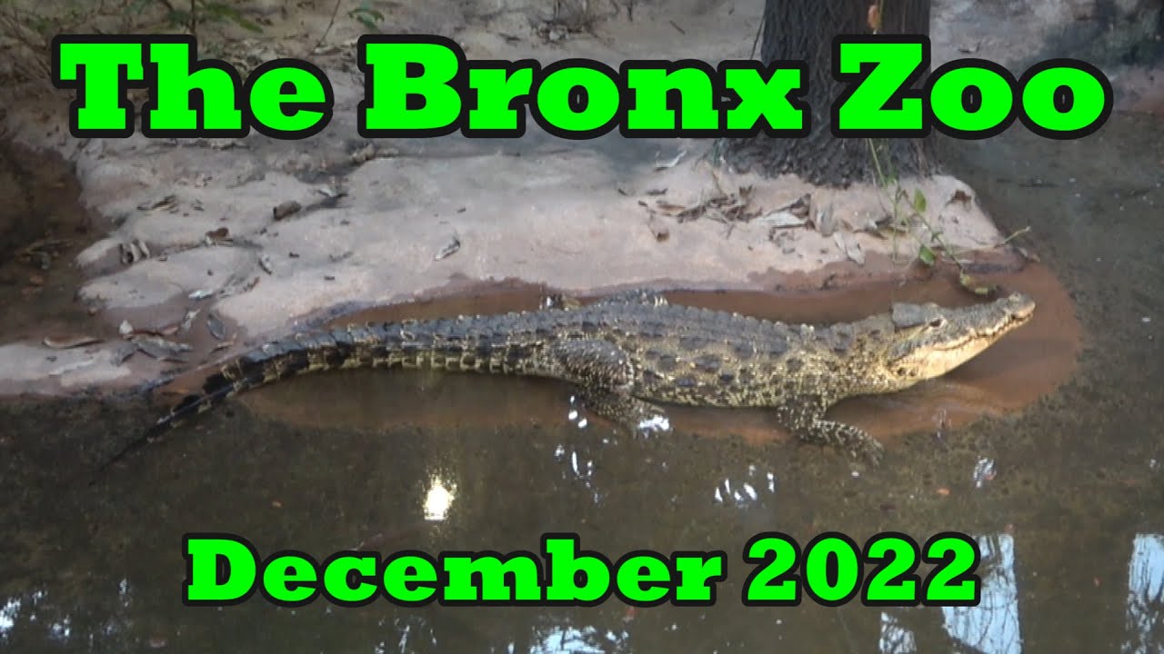 The Bronx Zoo December 2022