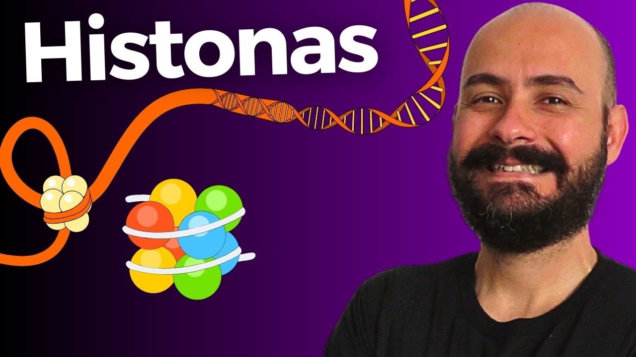 HISTONAS: o que S&Atilde;O e FUN&Ccedil;&Atilde;O | Gen&eacute;tica