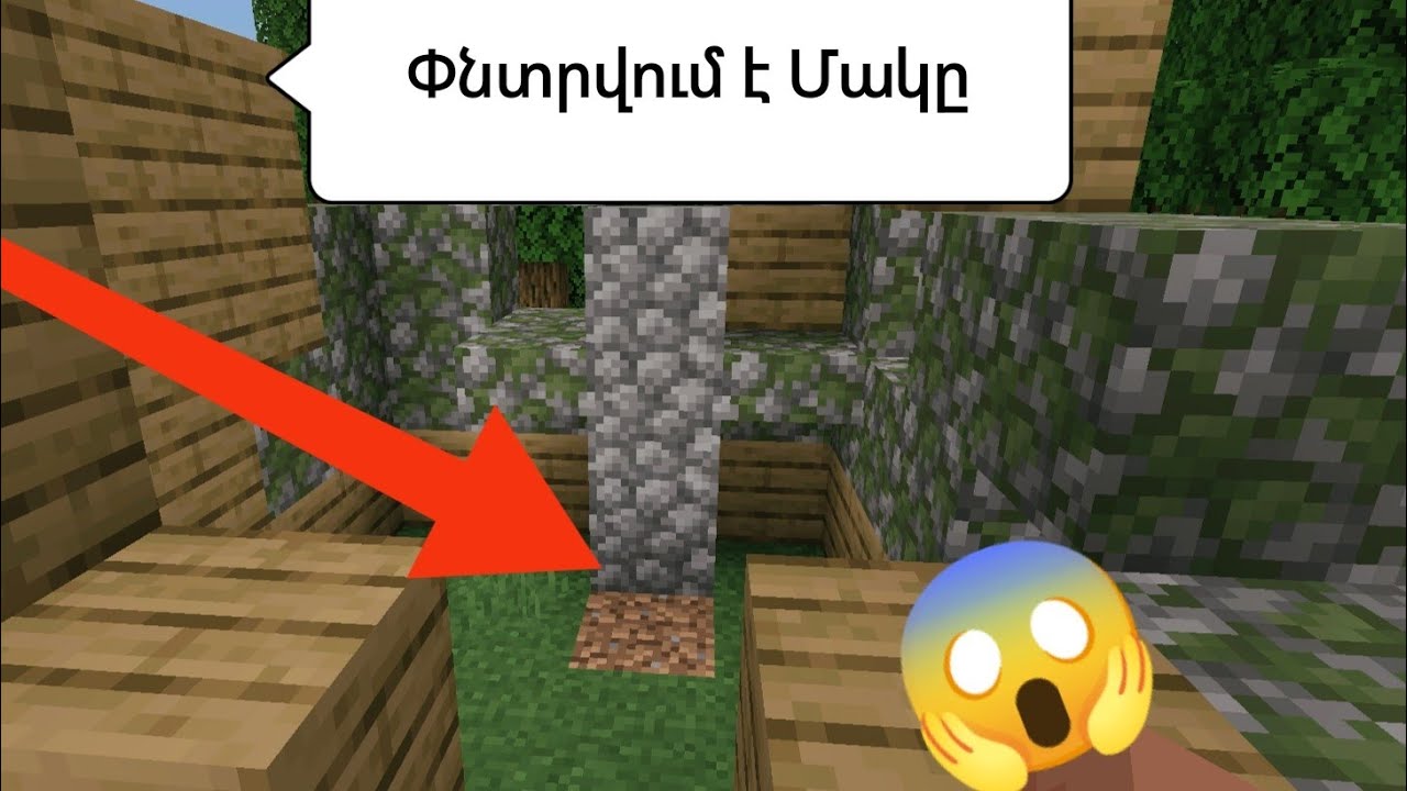 Փնտրվում է Մակը!!! Հումորային