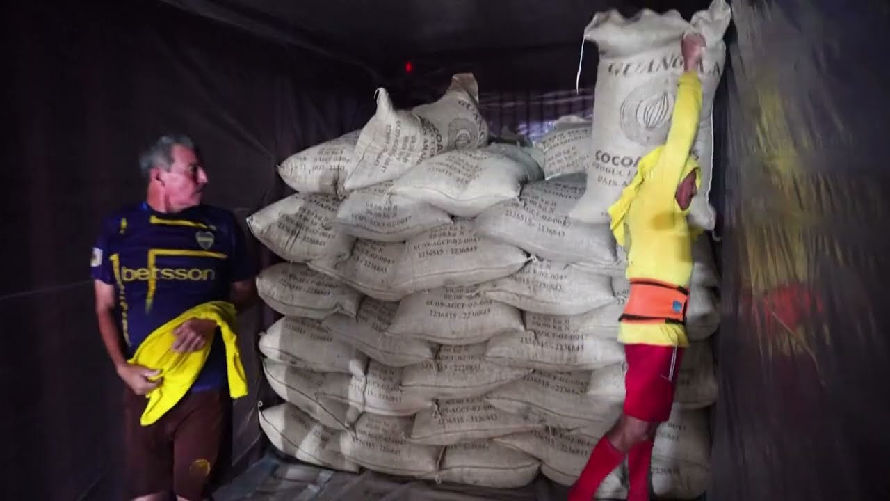 Cacao, el nuevo oro de la economía de Ecuador
