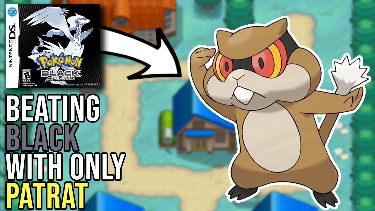 Can you beat Pokemon Black with ONLY a Patrat?