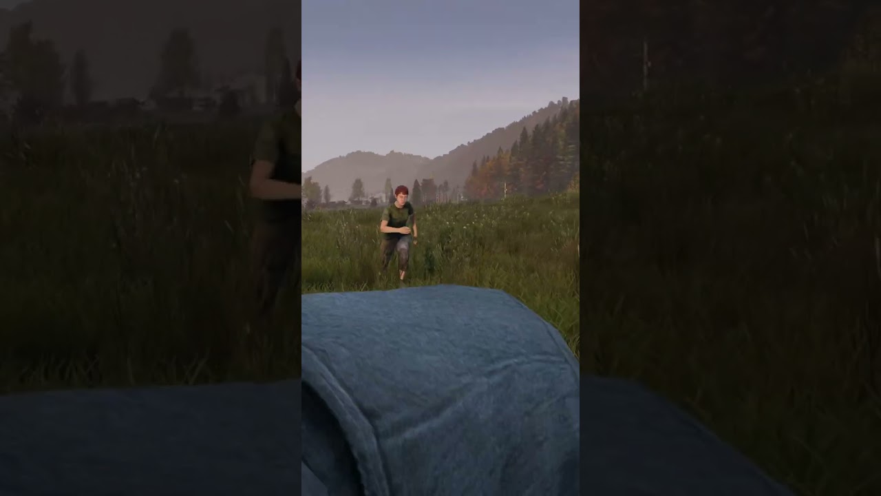 Когда ты просишь меня ехать быстрее в DayZ