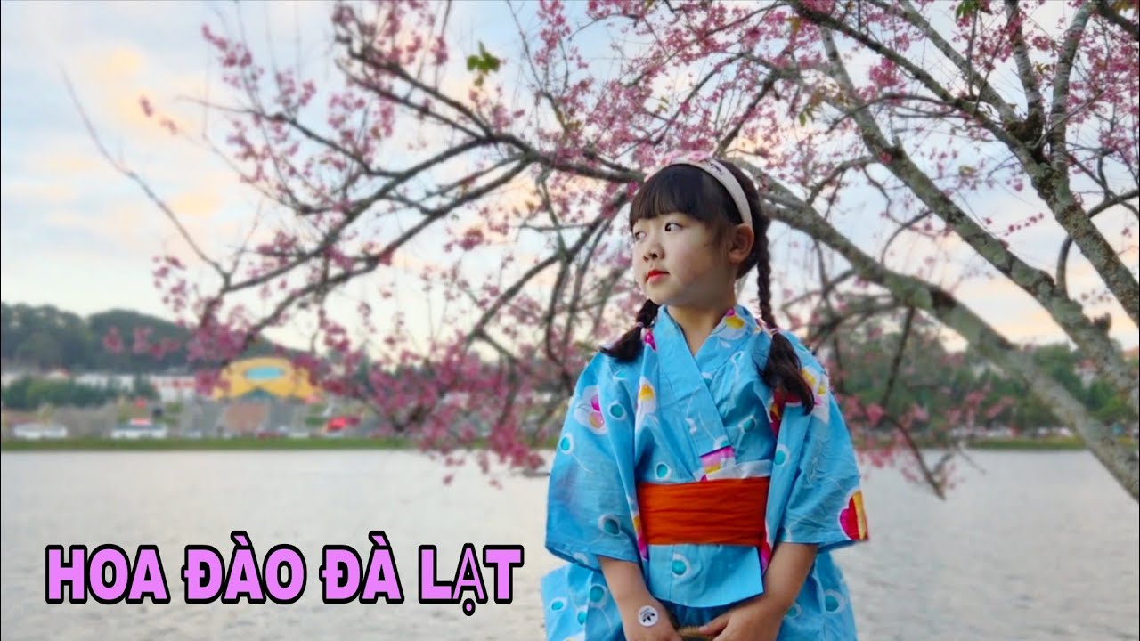 KAPY MẶC BỘ KIMONO ĐI NGẮM HOA ĐÀO ĐÀ LẠT 