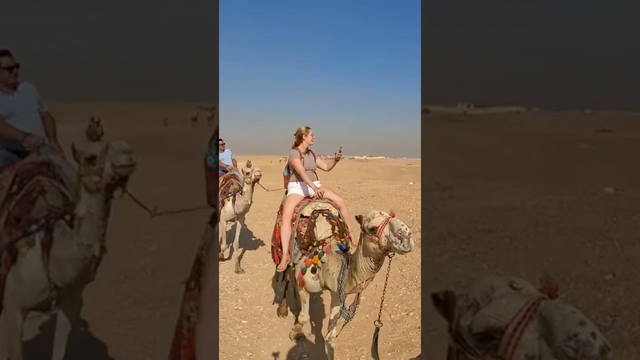 BEST PICTURE location with CAMELS! Unbelievable view of the Pyramids! #adventure #travel #explore