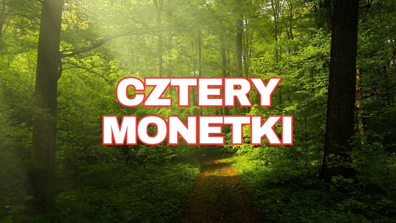 Wyszły cztery monetki #metaldetecting  #sondeln #poszukiwaczeskarbów #deus2