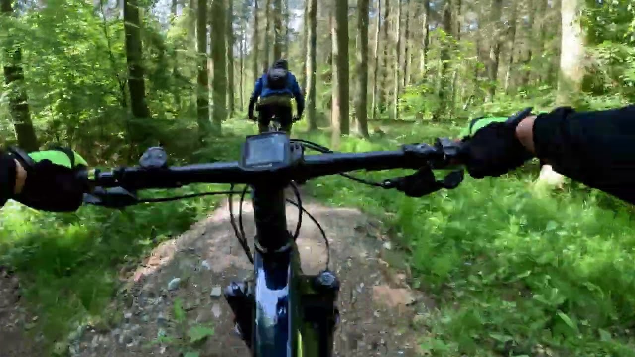 MTB Singletrack Ride in Bjerre Skov Horsens On Trek Procaliber 9.6