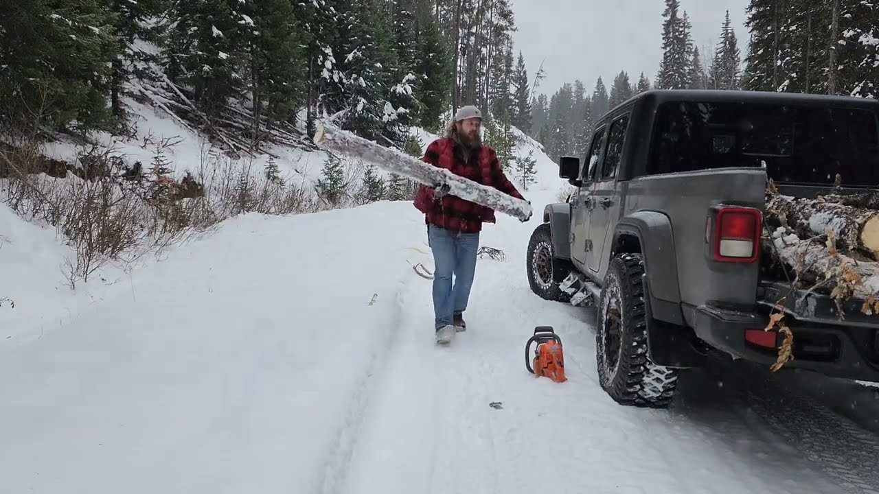 Harvesting wood in a Jeep Gladiator.