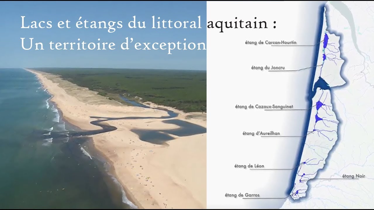Lacs et étangs du littoral aquitain : un territoire d'exception