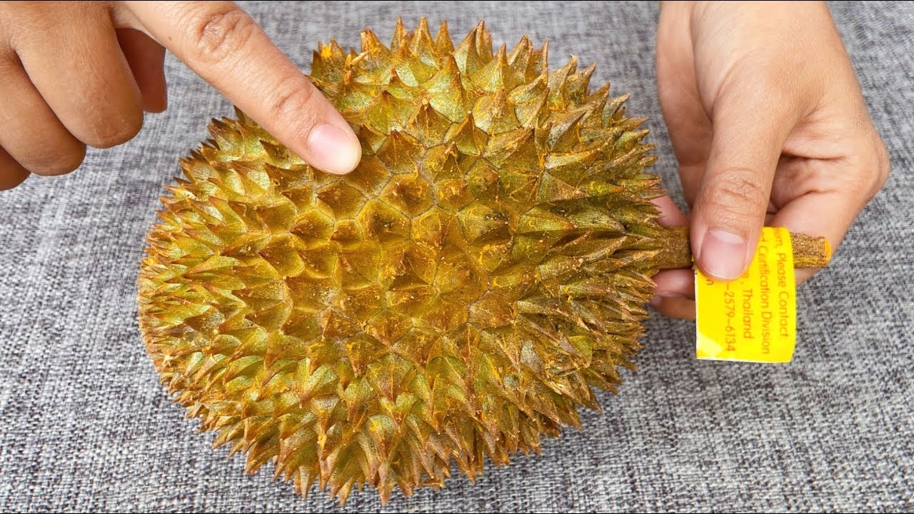 挑选榴莲有学问，卖榴莲老板教我诀窍，记住这几个地方，一挑一个准