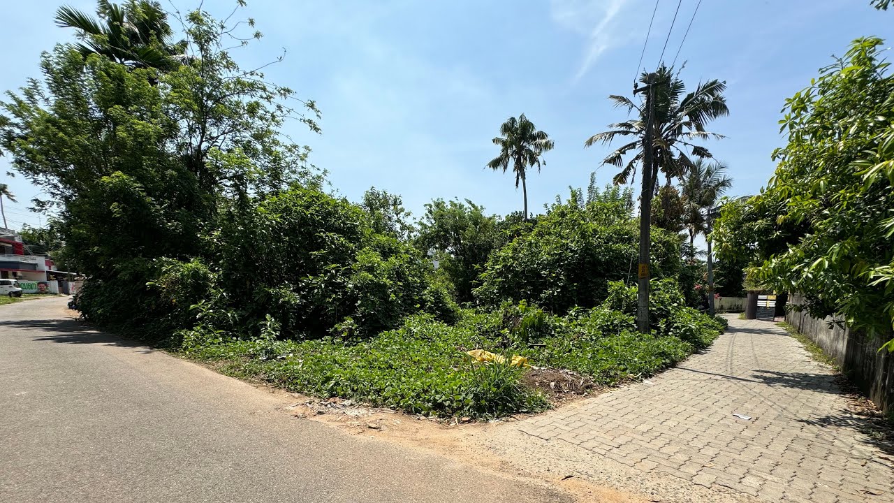 15 Cent's of Land for Sale in Aluva, Ernakulam | 3.15 Lakh's/Cent | Very Urgent Sale