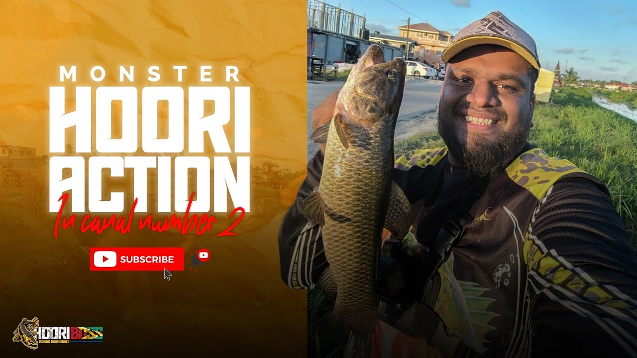 MONSTER HOORI (WOLFISH) ACTION IN CANAL NUMBER #2 