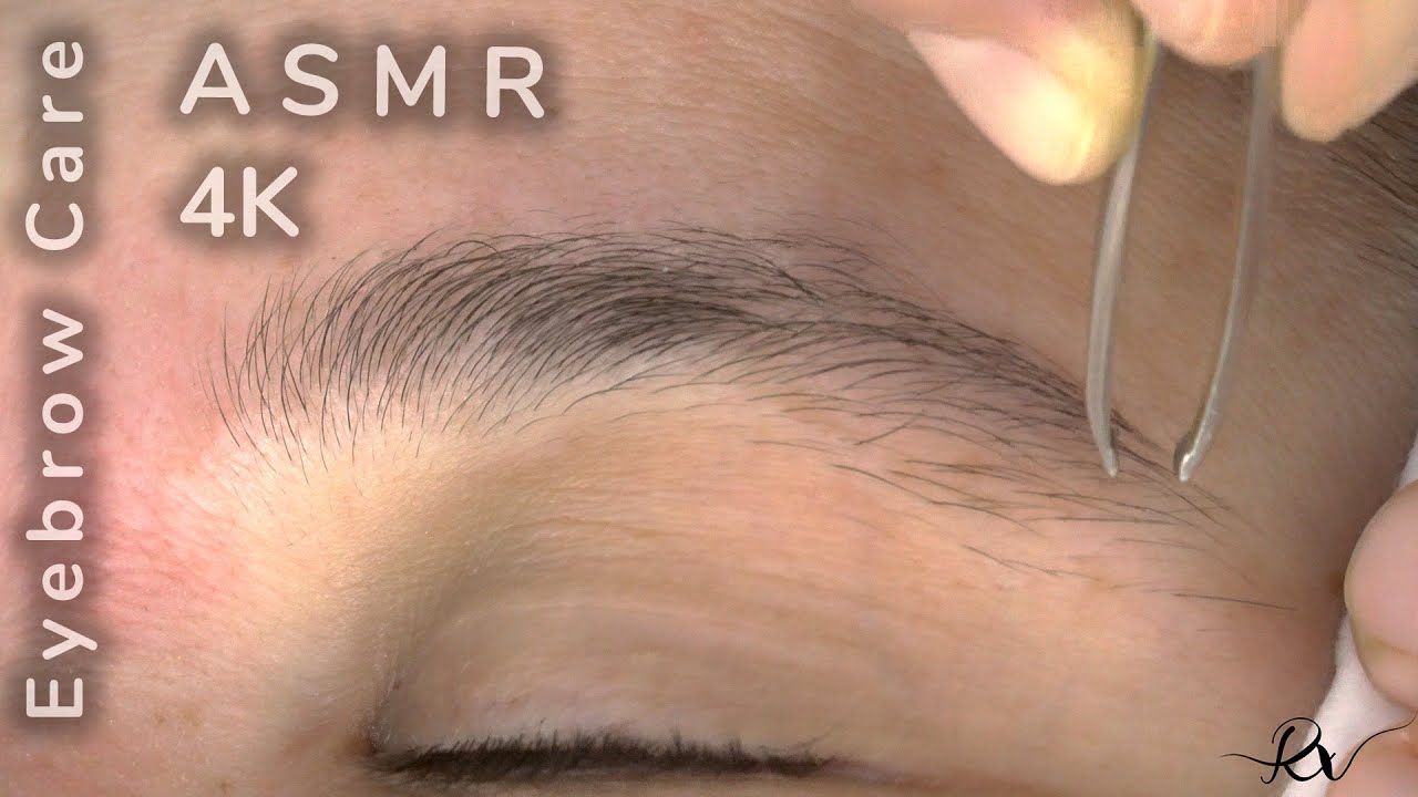 Eyebrow Care *Clarice* [ASMR]