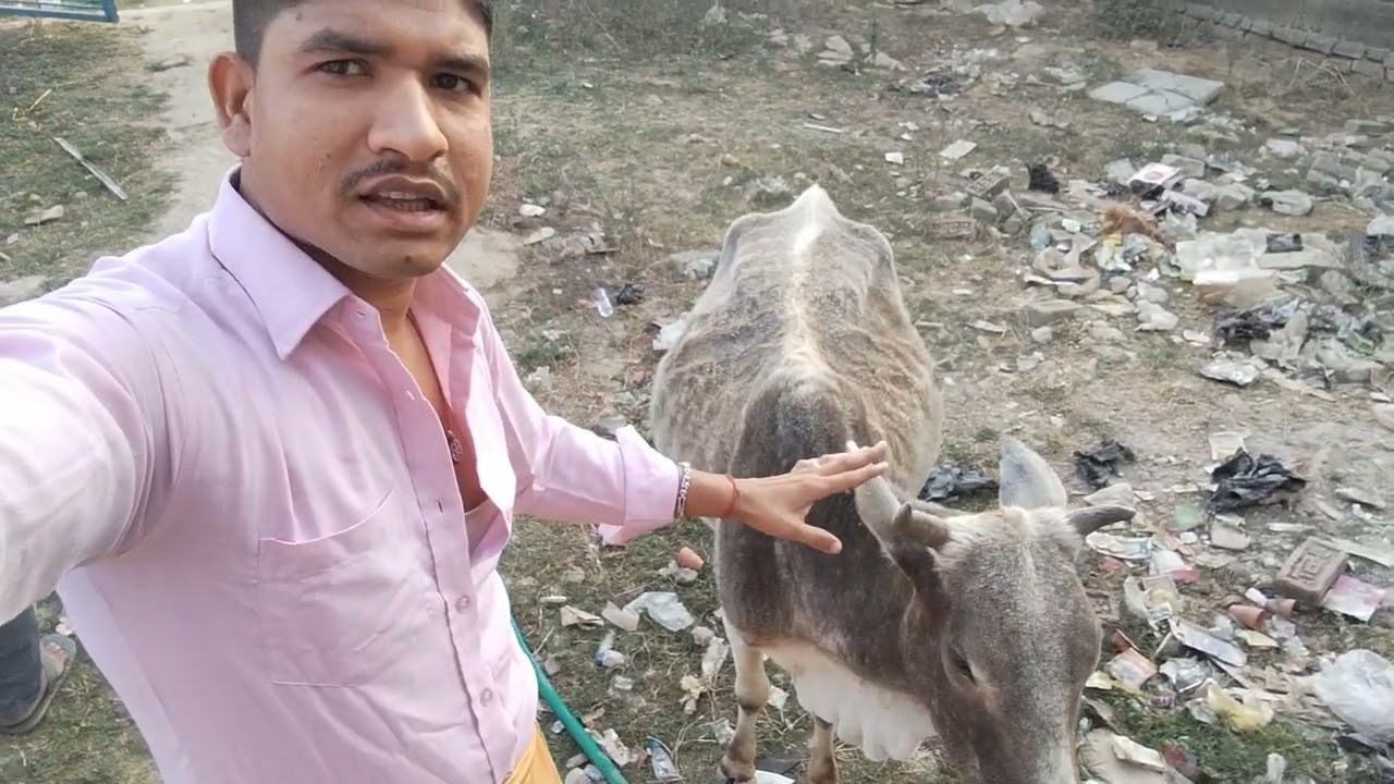Jai gau mata 