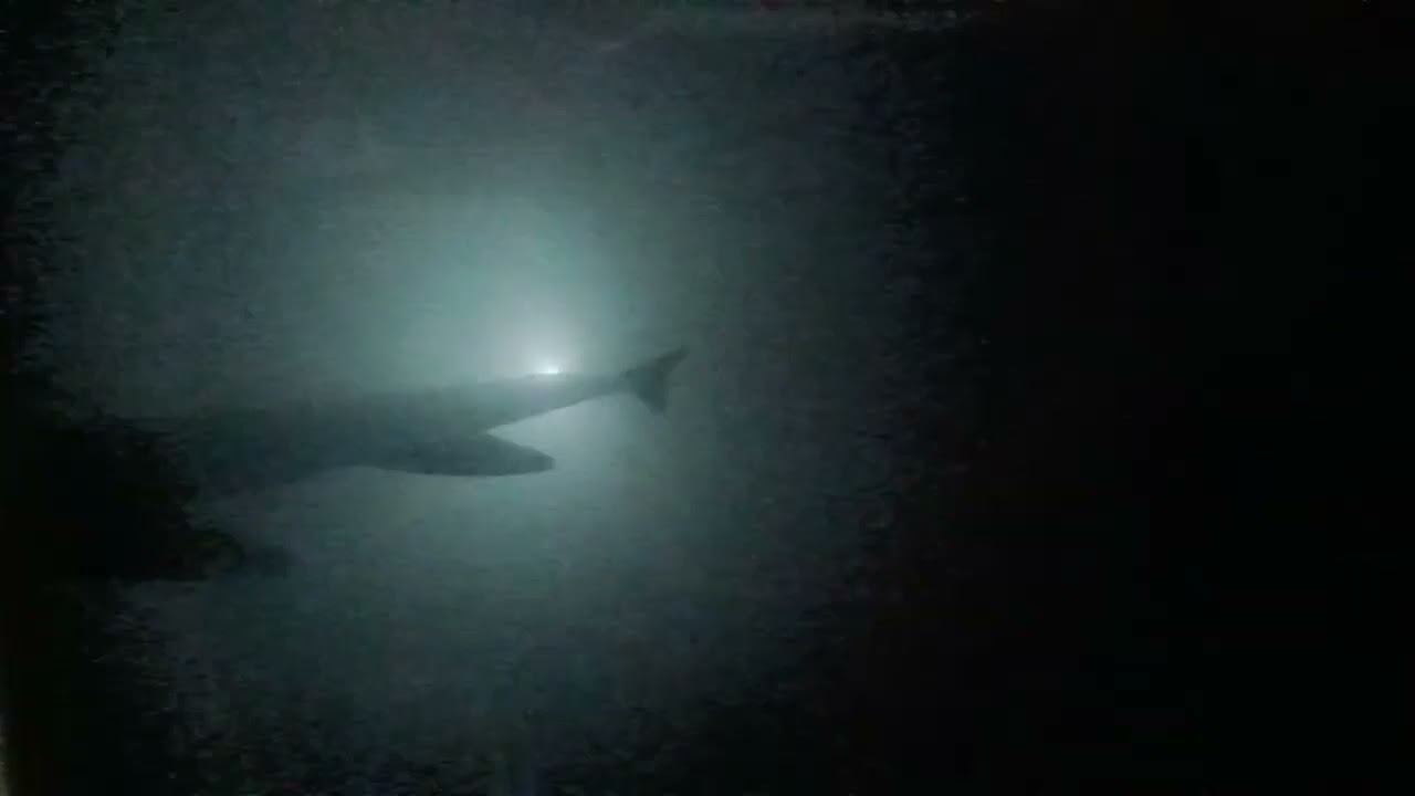 As smooth as 🧈 Turbulence | Bhopal Series Part - 3 | BHO-BLR | IndiGo |  6E 6466