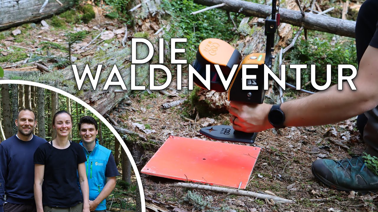 Die Waldinventur | Wildnis schafft Wissen - Spezial | Podcast